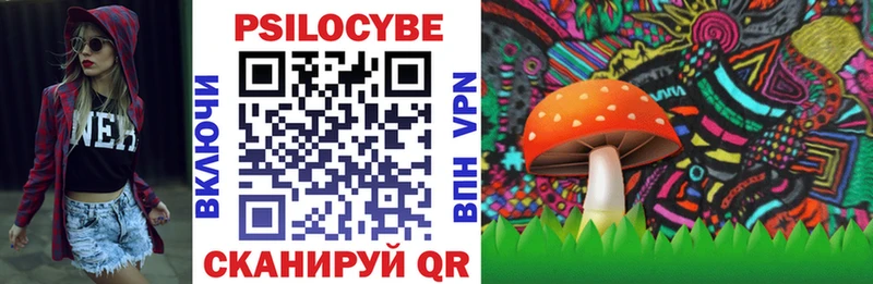 Галлюциногенные грибы GOLDEN TEACHER  где купить наркоту  Пугачёв 