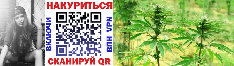 Конопля Bruce Banner  Пугачёв 